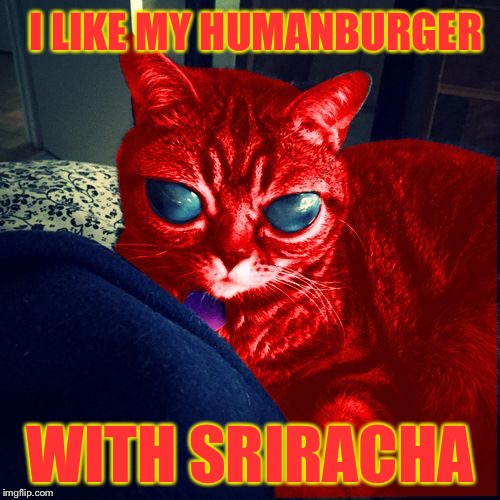 To Serve Human | I LIKE MY HUMANBURGER; WITH SRIRACHA | image tagged in raycat aliens,memes | made w/ Imgflip meme maker