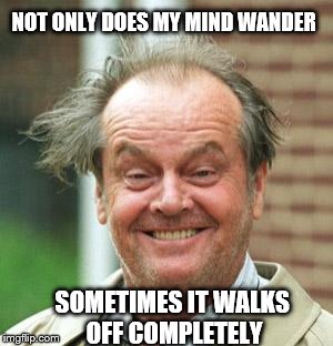 Mind Wander | NOT ONLY DOES MY MIND WANDER; SOMETIMES IT WALKS OFF COMPLETELY | image tagged in jack nicholson crazy hair | made w/ Imgflip meme maker