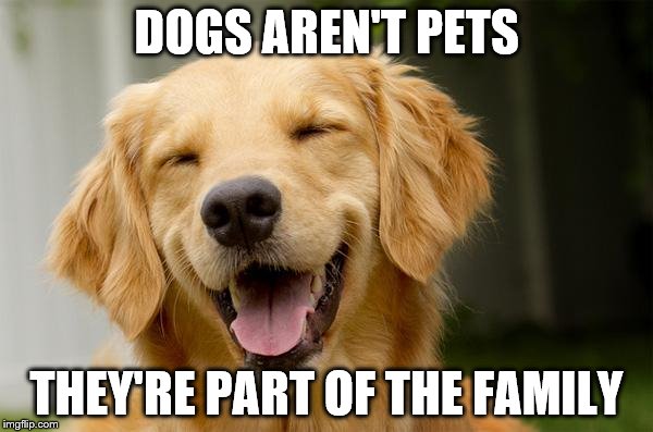 Happy Dog | DOGS AREN'T PETS; THEY'RE PART OF THE FAMILY | image tagged in happy dog | made w/ Imgflip meme maker