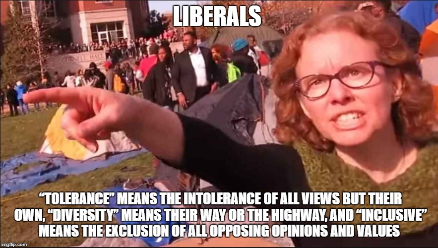 Do you really want to be a liberal hypocrite  | LIBERALS; “TOLERANCE” MEANS THE INTOLERANCE OF ALL VIEWS BUT THEIR OWN, “DIVERSITY” MEANS THEIR WAY OR THE HIGHWAY, AND “INCLUSIVE” MEANS THE EXCLUSION OF ALL OPPOSING OPINIONS AND VALUES | image tagged in memes | made w/ Imgflip meme maker