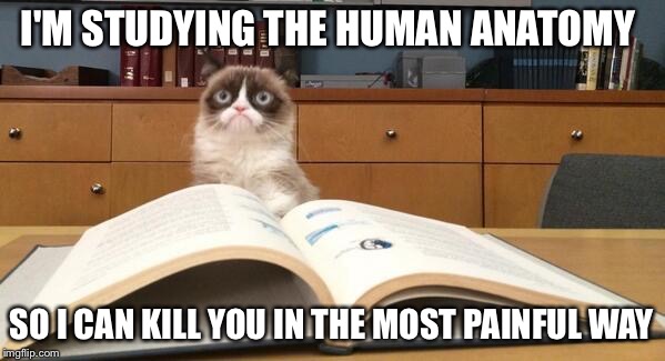 What are you studying grumpy cat? |  I'M STUDYING THE HUMAN ANATOMY; SO I CAN KILL YOU IN THE MOST PAINFUL WAY | image tagged in grumpy cat studying | made w/ Imgflip meme maker