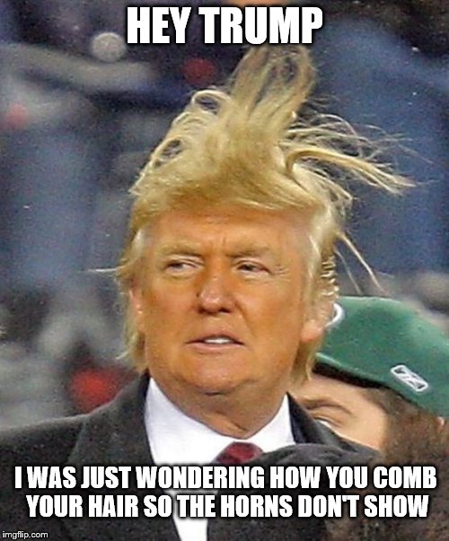 Where are the horns? | HEY TRUMP; I WAS JUST WONDERING HOW YOU COMB YOUR HAIR SO THE HORNS DON'T SHOW | image tagged in donald trumph hair | made w/ Imgflip meme maker