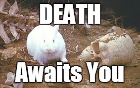 Death awaits you | DEATH; Awaits You | image tagged in holy grail rabbit,meme,memes,monty python | made w/ Imgflip meme maker