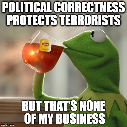 But That's None Of My Business | POLITICAL CORRECTNESS PROTECTS TERRORISTS; BUT THAT'S NONE OF MY BUSINESS | image tagged in memes,but thats none of my business,kermit the frog | made w/ Imgflip meme maker