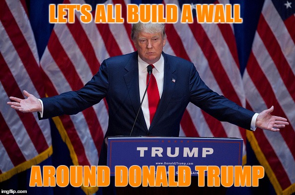 Donald Trump | LET'S ALL BUILD A WALL; AROUND DONALD TRUMP | image tagged in donald trump | made w/ Imgflip meme maker