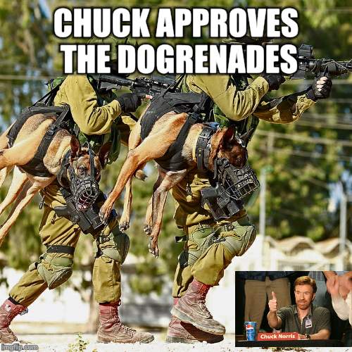 Holstered attack dogs | CHUCK APPROVES THE DOGRENADES | image tagged in holstered attack dogs | made w/ Imgflip meme maker
