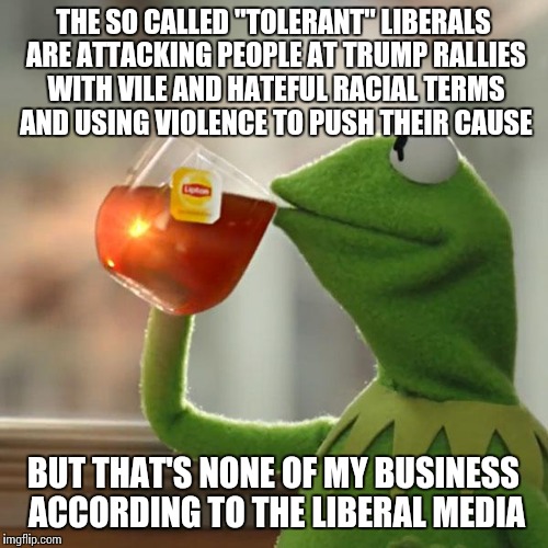 It SHOULD be everyone's business | THE SO CALLED "TOLERANT" LIBERALS ARE ATTACKING PEOPLE AT TRUMP RALLIES WITH VILE AND HATEFUL RACIAL TERMS AND USING VIOLENCE TO PUSH THEIR CAUSE; BUT THAT'S NONE OF MY BUSINESS ACCORDING TO THE LIBERAL MEDIA | image tagged in memes,but thats none of my business,kermit the frog | made w/ Imgflip meme maker