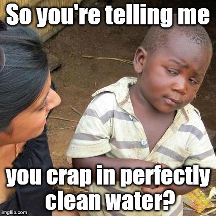 Third World Skeptical Kid | So you're telling me; you crap in perfectly clean water? | image tagged in memes,third world skeptical kid | made w/ Imgflip meme maker