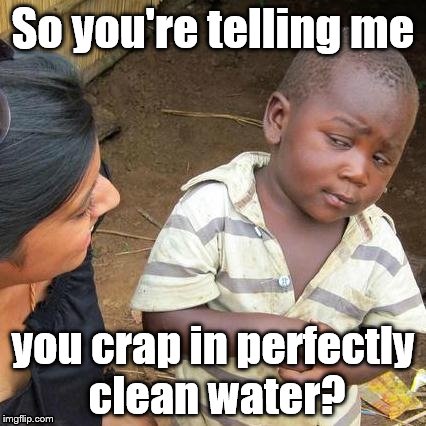 Third World Skeptical Kid Meme | So you're telling me; you crap in perfectly clean water? | image tagged in memes,third world skeptical kid | made w/ Imgflip meme maker