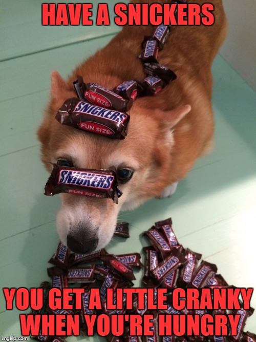 ImgFlip Is A Meme Site, Relax, Have Fun & Stop Trollin'  | HAVE A SNICKERS; YOU GET A LITTLE CRANKY WHEN YOU'RE HUNGRY | image tagged in troll,dogs,snickers,lol,memes,relax | made w/ Imgflip meme maker