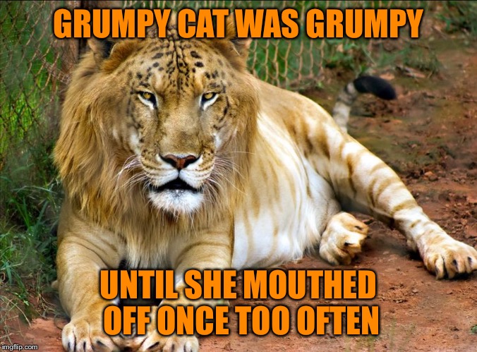LEOPON | GRUMPY CAT WAS GRUMPY UNTIL SHE MOUTHED OFF ONCE TOO OFTEN | image tagged in leopon | made w/ Imgflip meme maker