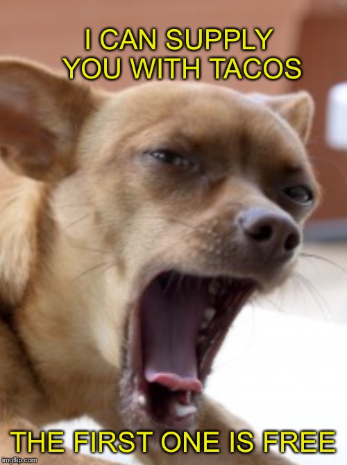 I CAN SUPPLY YOU WITH TACOS THE FIRST ONE IS FREE | image tagged in big mouth chihuahua | made w/ Imgflip meme maker