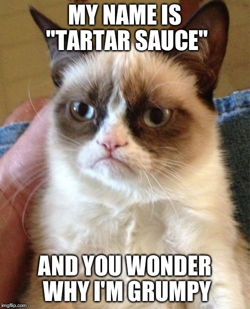 And You Wonder Why I'm Grumpy | MY NAME IS "TARTAR SAUCE"; AND YOU WONDER WHY I'M GRUMPY | image tagged in memes,grumpy cat | made w/ Imgflip meme maker