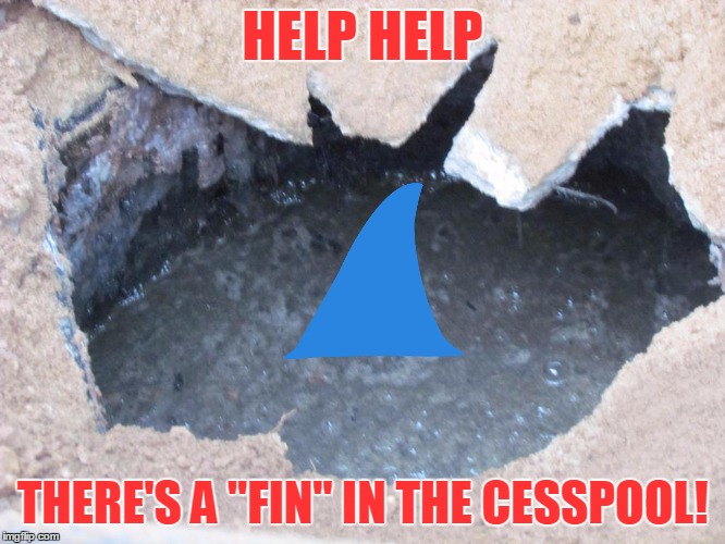 HELP HELP THERE'S A "FIN" IN THE CESSPOOL! | made w/ Imgflip meme maker