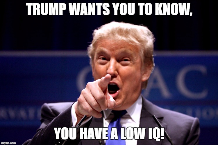 Trumps low iq | TRUMP WANTS YOU TO KNOW, YOU HAVE A LOW IQ! | image tagged in low iq,trump,donald trump,liberal,media | made w/ Imgflip meme maker