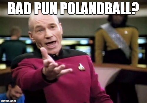 Picard Wtf Meme | BAD PUN POLANDBALL? | image tagged in memes,picard wtf | made w/ Imgflip meme maker
