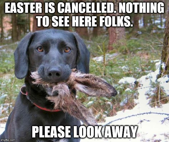 Happy Easter Imgflippers! | EASTER IS CANCELLED. NOTHING TO SEE HERE FOLKS. PLEASE LOOK AWAY | image tagged in easter,easter bunny | made w/ Imgflip meme maker