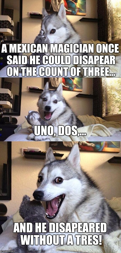 Bad Pun Dog | A MEXICAN MAGICIAN ONCE SAID HE COULD DISAPEAR ON THE COUNT OF THREE... UNO, DOS,... AND HE DISAPEARED WITHOUT A TRES! | image tagged in memes,bad pun dog,husky,funny | made w/ Imgflip meme maker