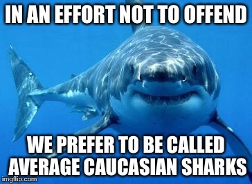 IN AN EFFORT NOT TO OFFEND WE PREFER TO BE CALLED AVERAGE CAUCASIAN SHARKS | made w/ Imgflip meme maker