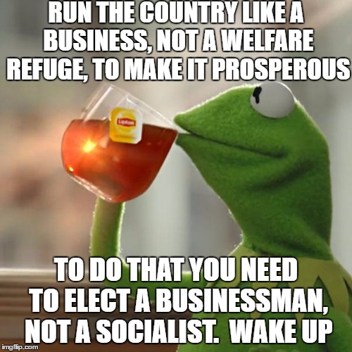 Elect Trump | RUN THE COUNTRY LIKE A BUSINESS, NOT A WELFARE REFUGE, TO MAKE IT PROSPEROUS; TO DO THAT YOU NEED TO ELECT A BUSINESSMAN, NOT A SOCIALIST.  WAKE UP | image tagged in memes,but thats none of my business,kermit the frog,trump,hillary,bernie | made w/ Imgflip meme maker