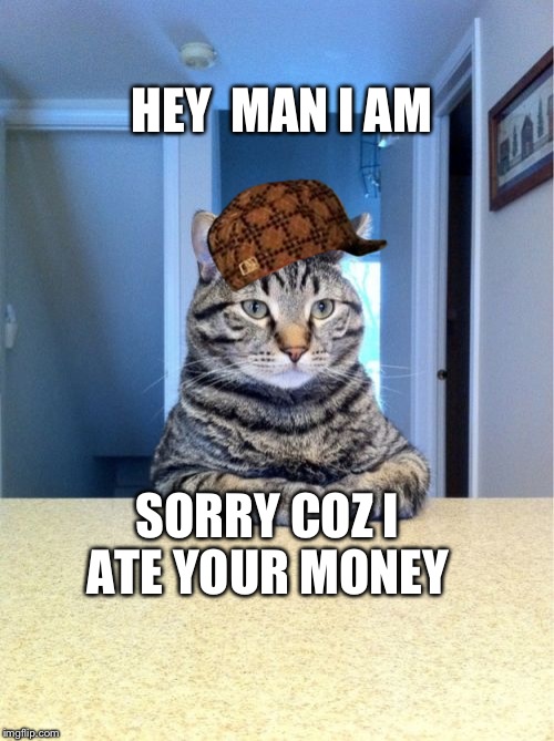 Take A Seat Cat Meme | HEY 
MAN
I AM; SORRY COZ I ATE YOUR MONEY | image tagged in memes,take a seat cat,scumbag | made w/ Imgflip meme maker