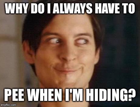 Spiderman Peter Parker | WHY DO I ALWAYS HAVE TO; PEE WHEN I'M HIDING? | image tagged in memes,spiderman peter parker | made w/ Imgflip meme maker