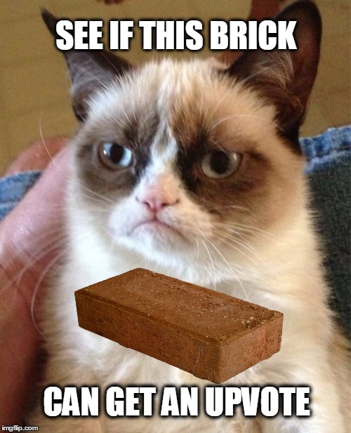 someone said it couldn't be done | SEE IF THIS BRICK; CAN GET AN UPVOTE | image tagged in grumpy cat | made w/ Imgflip meme maker