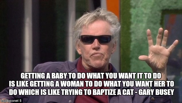 GETTING A BABY TO DO WHAT YOU WANT IT TO DO IS LIKE GETTING A WOMAN TO DO WHAT YOU WANT HER TO DO WHICH IS LIKE TRYING TO BAPTIZE A CAT - GARY BUSEY | image tagged in gary busey wisdom | made w/ Imgflip meme maker