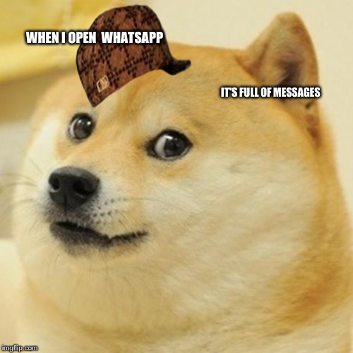 Doge Meme | WHEN I OPEN 
WHATSAPP; IT'S FULL OF MESSAGES | image tagged in memes,doge,scumbag | made w/ Imgflip meme maker