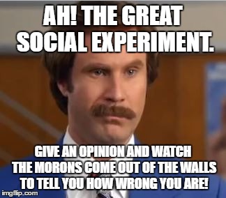 AnchormanIt'sScience | AH! THE GREAT SOCIAL EXPERIMENT. GIVE AN OPINION AND WATCH THE MORONS COME OUT OF THE WALLS TO TELL YOU HOW WRONG YOU ARE! | image tagged in anchormanit'sscience | made w/ Imgflip meme maker