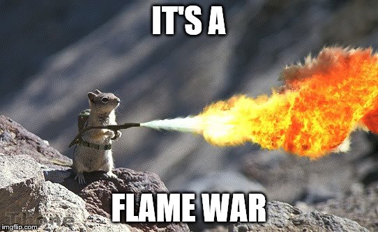 Flame War Squirrel | IT'S A FLAME WAR | image tagged in flame war squirrel | made w/ Imgflip meme maker