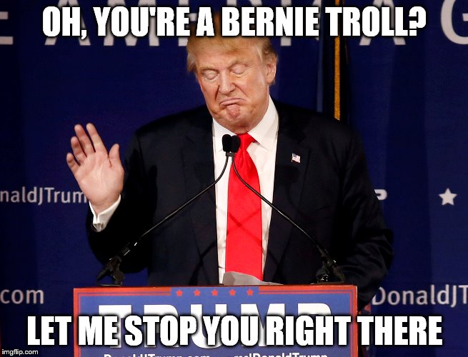OH, YOU'RE A BERNIE TROLL? LET ME STOP YOU RIGHT THERE | image tagged in donald trump,kill yourself guy | made w/ Imgflip meme maker