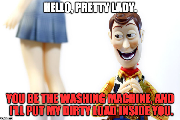 Woody's Bad Pickup Lines #13 | HELLO, PRETTY LADY. YOU BE THE WASHING MACHINE, AND I'LL PUT MY DIRTY LOAD INSIDE YOU. | image tagged in hentai woody,woody,pickup line,washing machine,dirty,funny | made w/ Imgflip meme maker