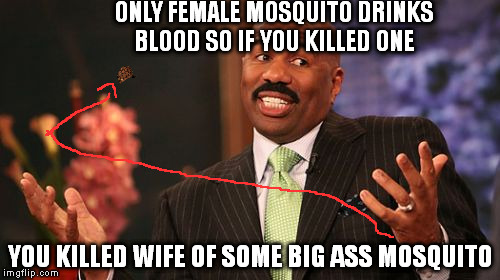 ONLY FEMALE MOSQUITO DRINKS BLOOD SO IF YOU KILLED ONE; YOU KILLED WIFE OF SOME BIG ASS MOSQUITO | image tagged in memes,steve harvey,scumbag | made w/ Imgflip meme maker