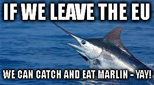 IF WE LEAVE THE EU; WE CAN CATCH AND EAT MARLIN - YAY! | image tagged in europe | made w/ Imgflip meme maker