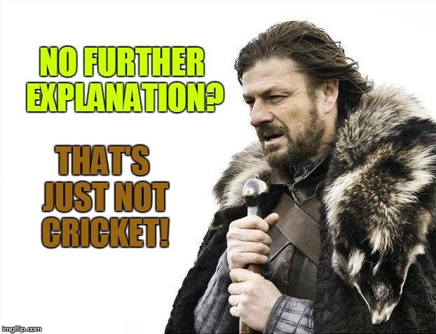 Brace Yourselves X is Coming Meme | NO FURTHER EXPLANATION? THAT'S JUST NOT CRICKET! | image tagged in memes,brace yourselves x is coming | made w/ Imgflip meme maker