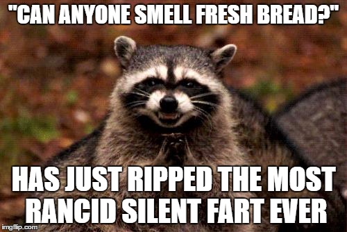 Evil Plotting Raccoon | "CAN ANYONE SMELL FRESH BREAD?"; HAS JUST RIPPED THE MOST RANCID SILENT FART EVER | image tagged in memes,evil plotting raccoon,AdviceAnimals | made w/ Imgflip meme maker