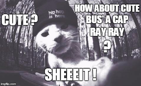 Cute Bus' A Cap ! | HOW ABOUT CUTE; CUTE ? BUS' A CAP; RAY RAY; ? SHEEEIT ! | image tagged in hip hop,kitty,sheeeit,ray ray,bus a cap,cute | made w/ Imgflip meme maker