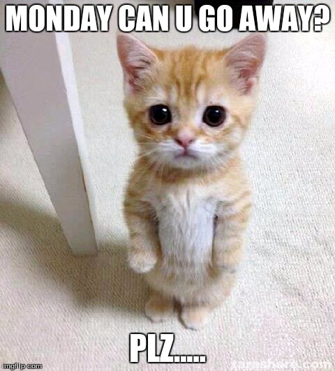 Cute Cat | MONDAY CAN U GO AWAY? PLZ..... | image tagged in memes,cute cat | made w/ Imgflip meme maker