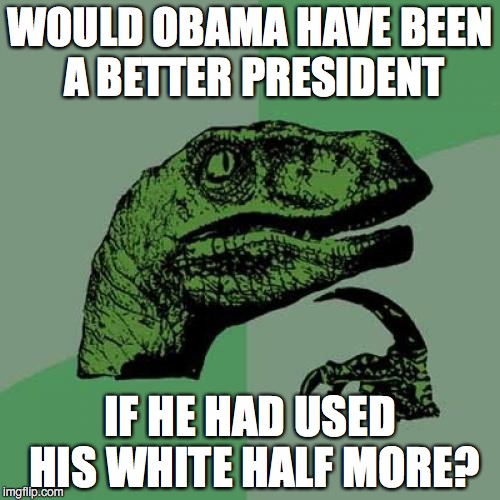 Philosoraptor | WOULD OBAMA HAVE BEEN A BETTER PRESIDENT; IF HE HAD USED HIS WHITE HALF MORE? | image tagged in memes,philosoraptor | made w/ Imgflip meme maker