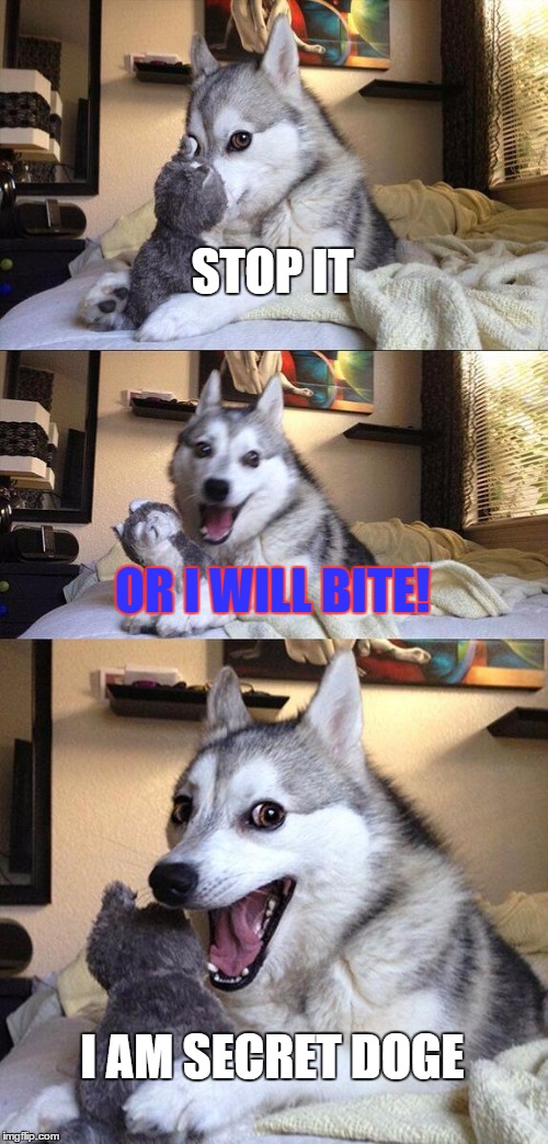 Bad Pun Dog | STOP IT; OR I WILL BITE! I AM SECRET DOGE | image tagged in memes,bad pun dog | made w/ Imgflip meme maker