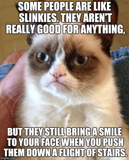 Grumpy Cat | SOME PEOPLE ARE LIKE SLINKIES. THEY AREN'T REALLY GOOD FOR ANYTHING, BUT THEY STILL BRING A SMILE TO YOUR FACE WHEN YOU PUSH THEM DOWN A FLIGHT OF STAIRS. | image tagged in memes,grumpy cat | made w/ Imgflip meme maker