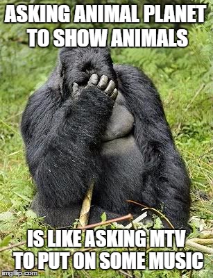 ASKING ANIMAL PLANET TO SHOW ANIMALS IS LIKE ASKING MTV TO PUT ON SOME MUSIC | made w/ Imgflip meme maker