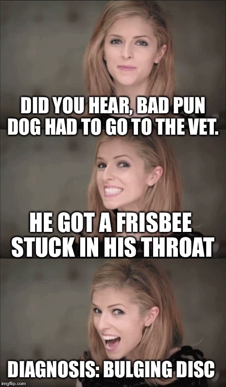 Frisbee fun | DID YOU HEAR, BAD PUN DOG HAD TO GO TO THE VET. HE GOT A FRISBEE STUCK IN HIS THROAT; DIAGNOSIS: BULGING DISC | image tagged in memes,bad pun anna kendrick,bad pun dog,frisbee | made w/ Imgflip meme maker