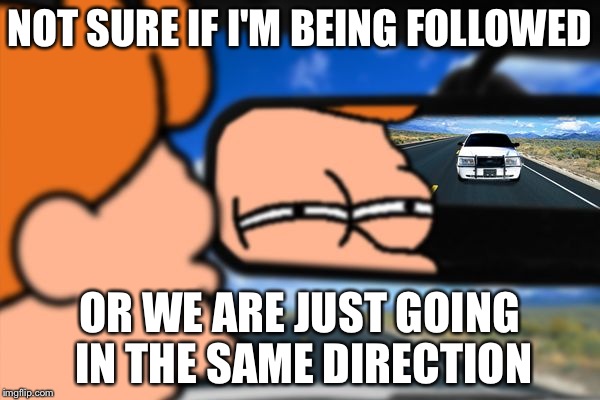 Fry Not Sure Car Version | NOT SURE IF I'M BEING FOLLOWED; OR WE ARE JUST GOING IN THE SAME DIRECTION | image tagged in fry not sure car version | made w/ Imgflip meme maker