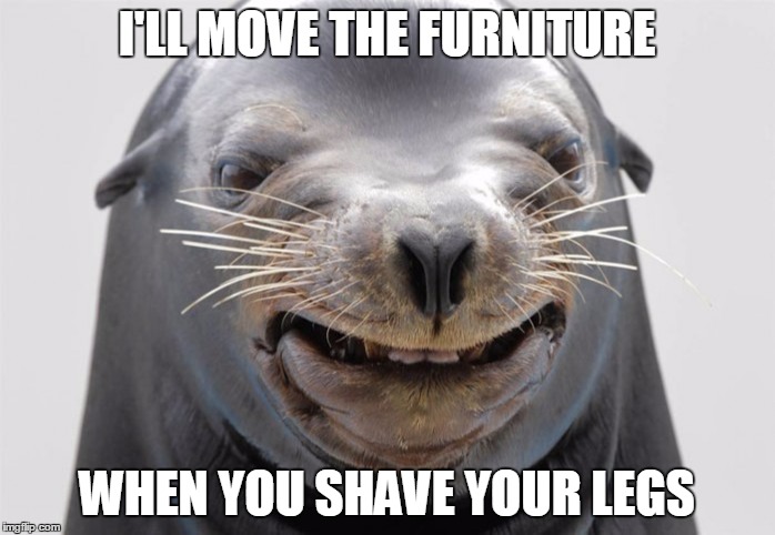 happy seal | I'LL MOVE THE FURNITURE WHEN YOU SHAVE YOUR LEGS | image tagged in happy seal | made w/ Imgflip meme maker