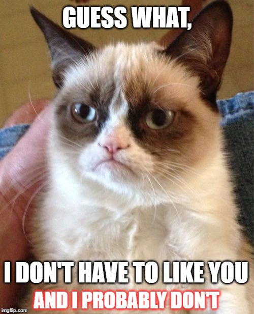 Grumpy Cat | GUESS WHAT, I DON'T HAVE TO LIKE YOU; AND I PROBABLY DON'T | image tagged in memes,grumpy cat,funny memes | made w/ Imgflip meme maker