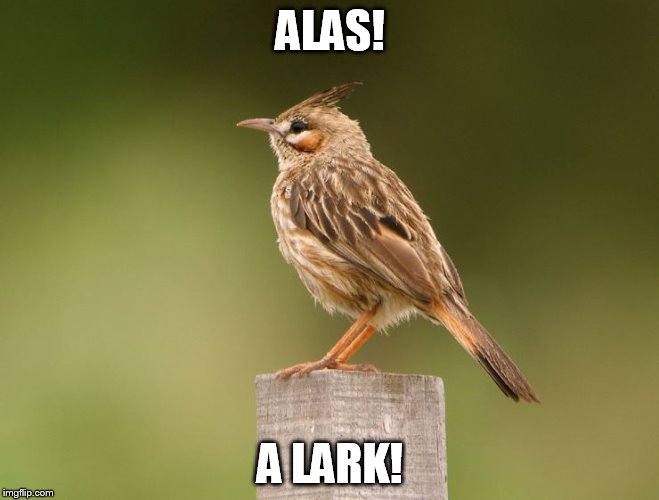 ALAS! A LARK! | made w/ Imgflip meme maker