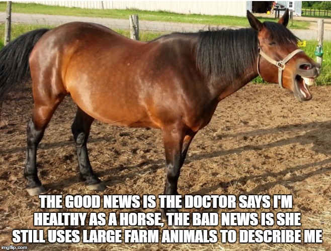 healthy as a horse | THE GOOD NEWS IS THE DOCTOR SAYS I'M HEALTHY AS A HORSE, THE BAD NEWS IS SHE STILL USES LARGE FARM ANIMALS TO DESCRIBE ME | image tagged in laughing horse,healthy,doctor,healthy as a horse,farm animals | made w/ Imgflip meme maker
