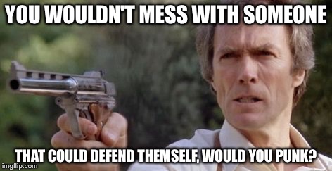 YOU WOULDN'T MESS WITH SOMEONE THAT COULD DEFEND THEMSELF, WOULD YOU PUNK? | made w/ Imgflip meme maker